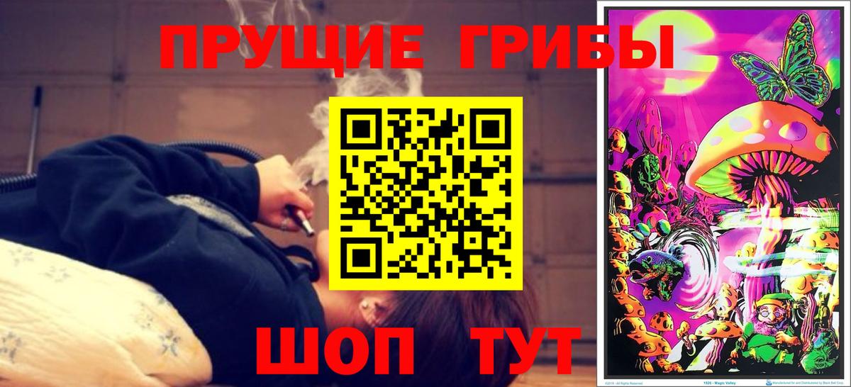 Псилоцибиновые грибы Magic Shrooms  где найти наркотики  Фрязино  Вход с VPN 