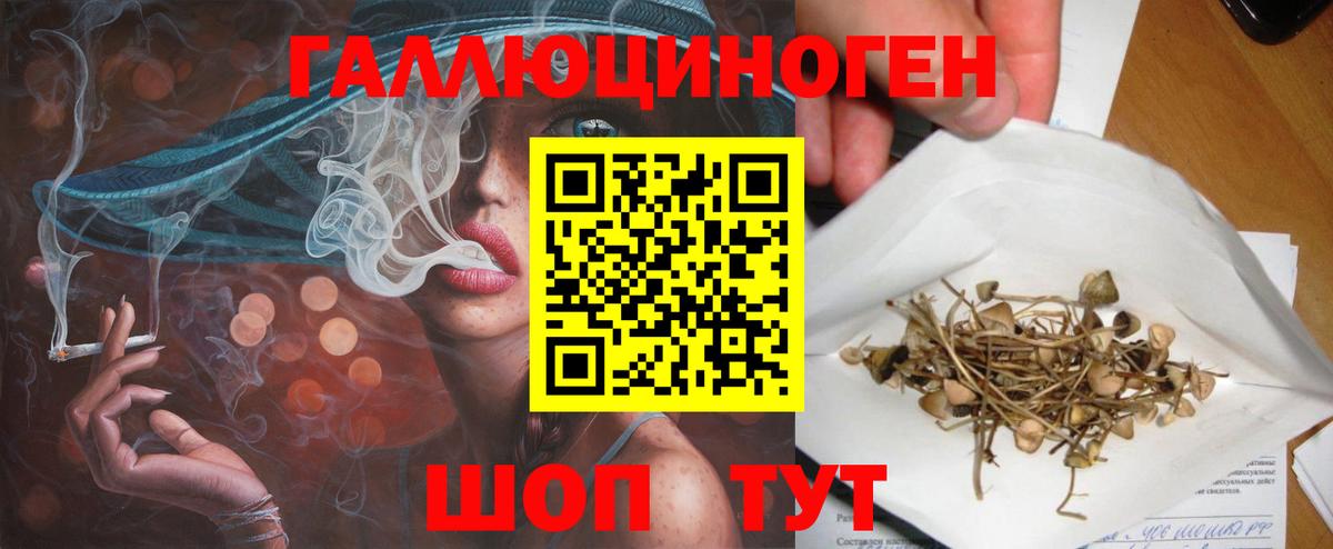 Псилоцибиновые грибы MAGIC MUSHROOMS Фрязино